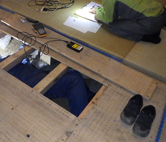 木部製品点検業務の様子