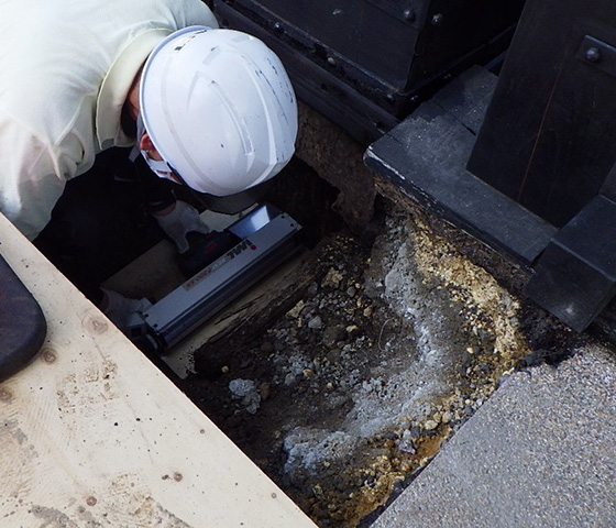 木部製品点検業務の様子